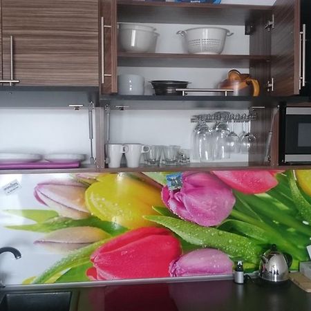 Apartament Masovia Mrągowo Dış mekan fotoğraf
